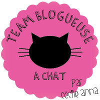 Je rejoins, La team Bloggeuse à chat !